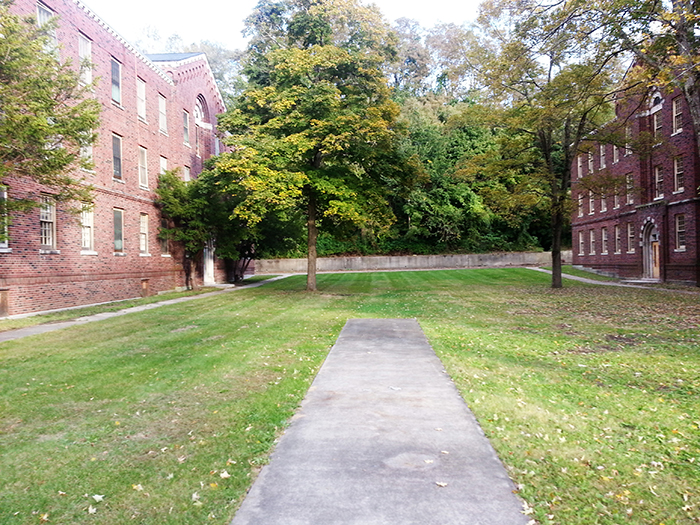 Olivet Center Project Progress
