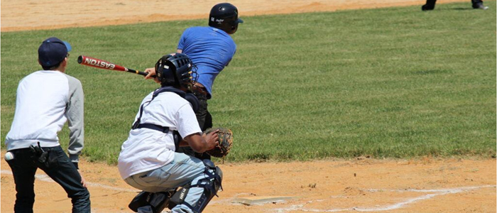 Baseball Field Restoration