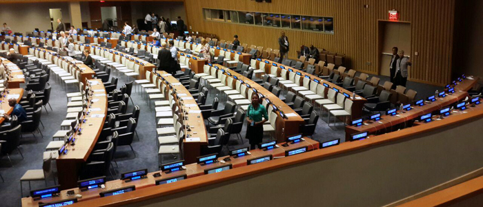 FEL Program Trainee in United Nations Building