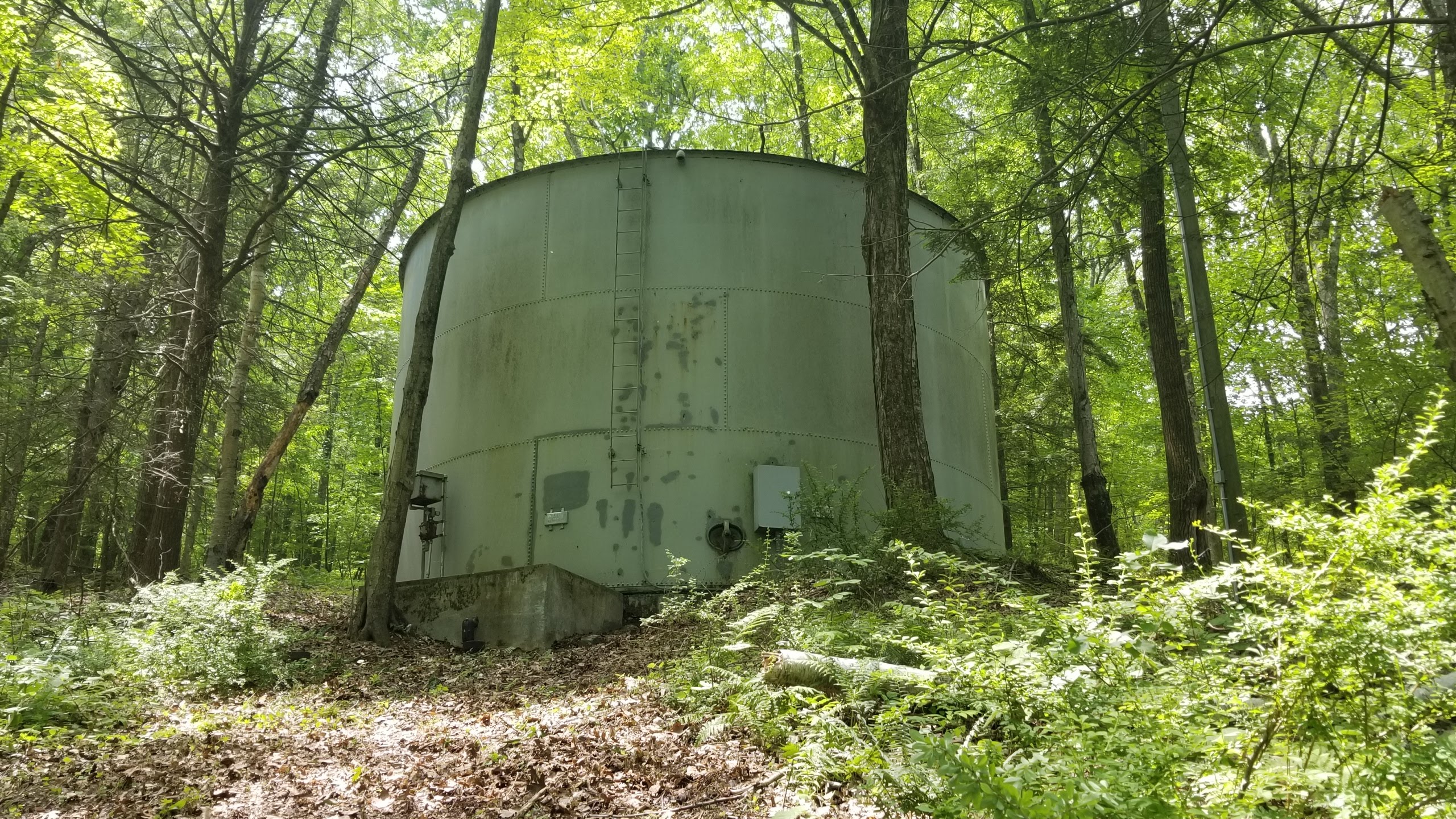 20190605_114625 (1)