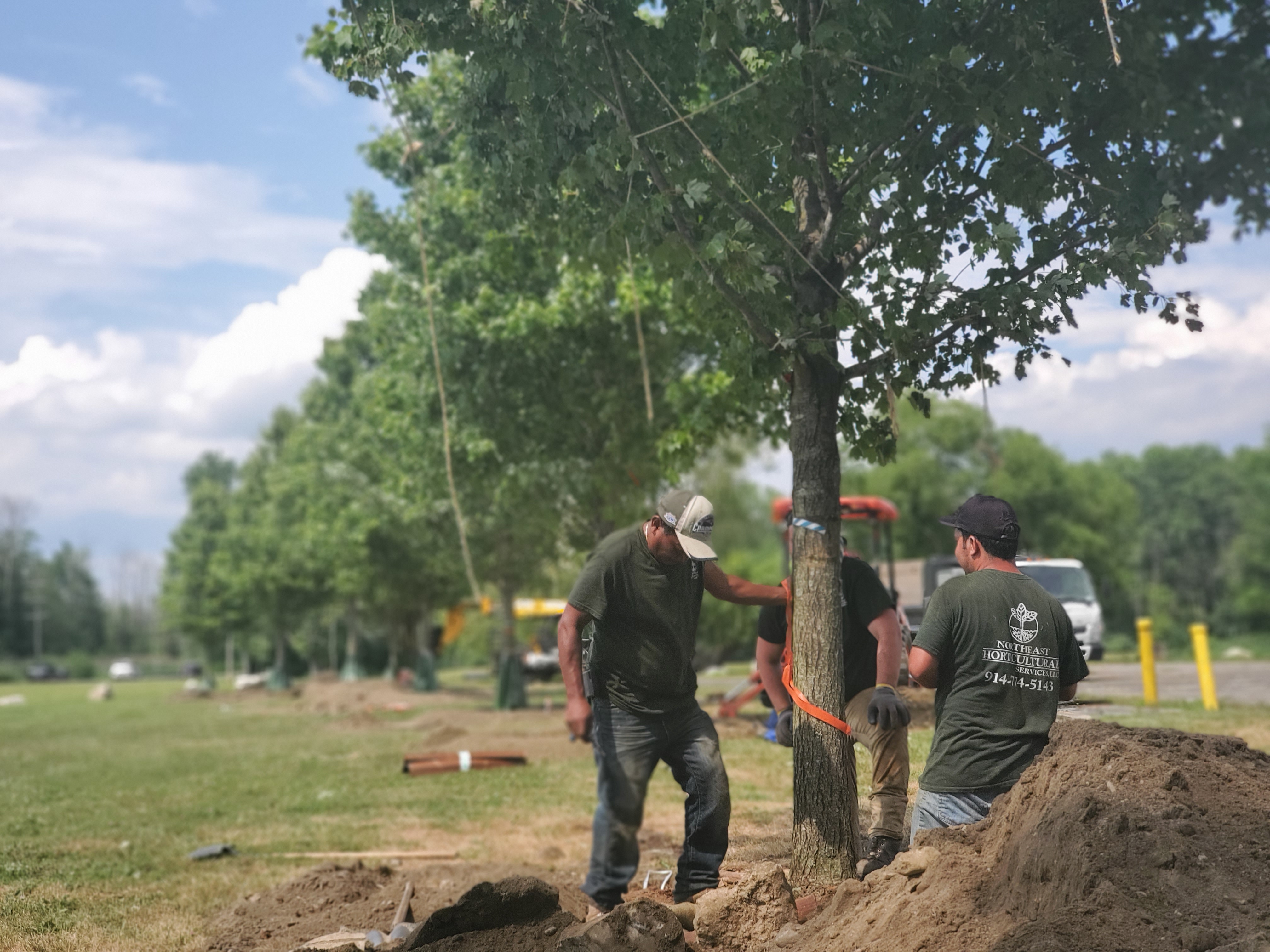 Landscape Projects