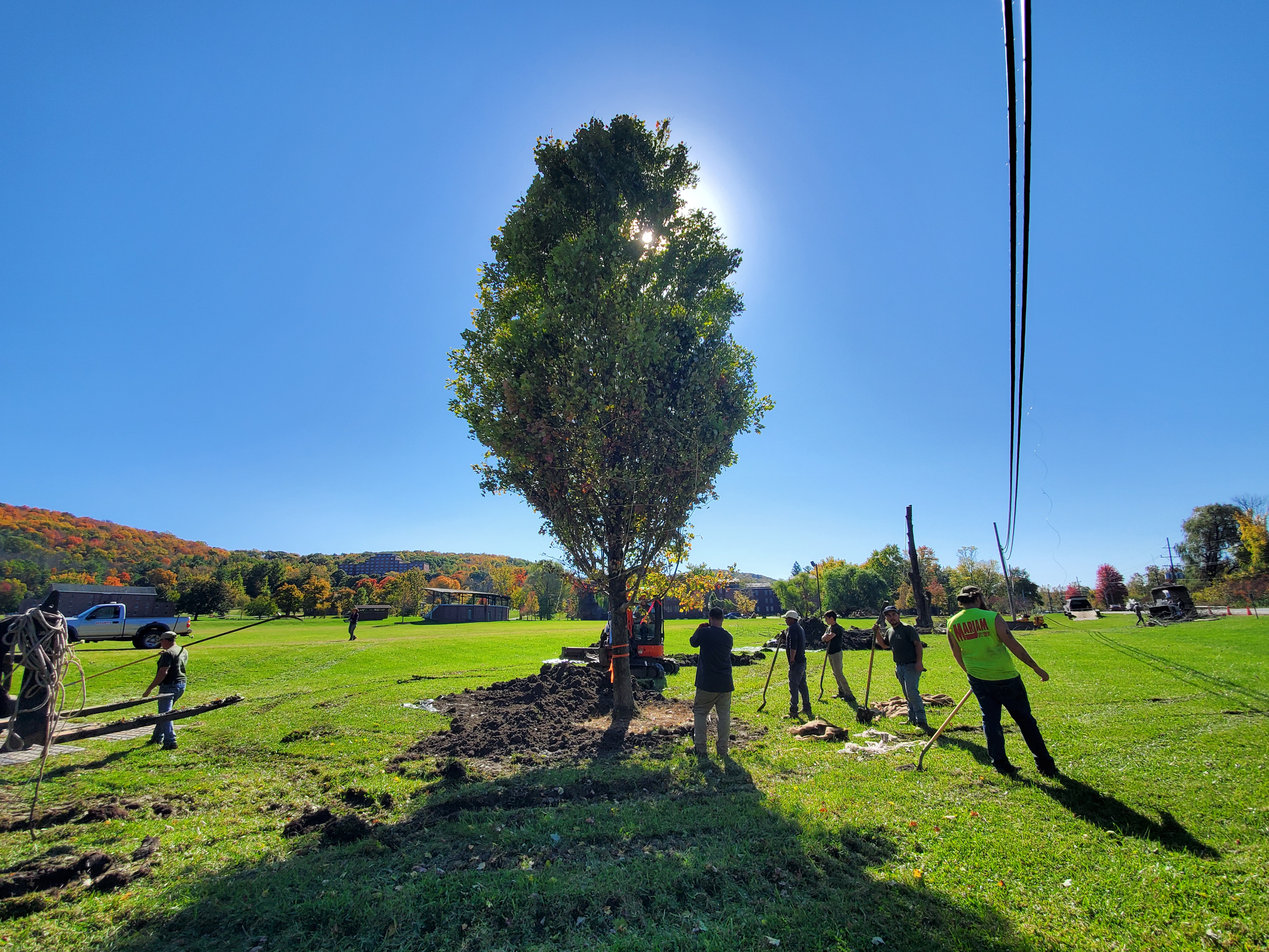 Landscape Projects
